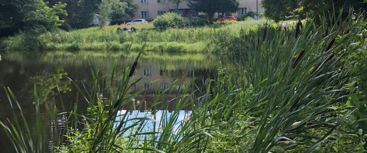 Nachmieter gesucht zum 01.12: schöne 2z Wohnung in Reinickendorf - Foto 1