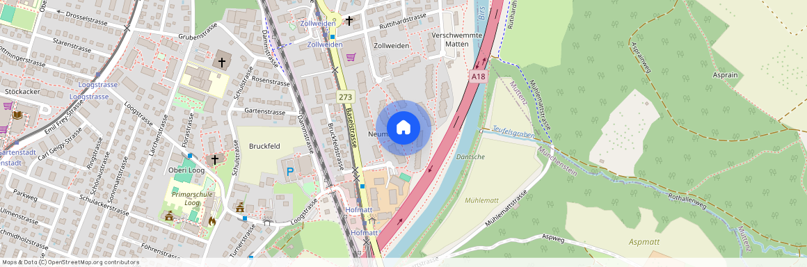 Neumattstrasse 35, 4142 Münchenstein