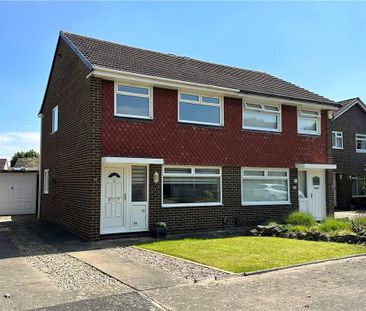 3 bedroom semi-detached house to rent - Photo 6