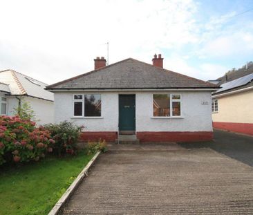 3 bedroom bungalow to rent - Photo 6