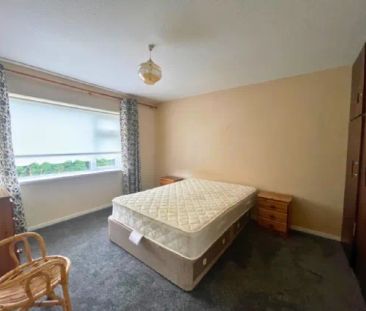 Tir Connell Close, Lismore Heights, Waterford, X91 ND6H - Photo 5