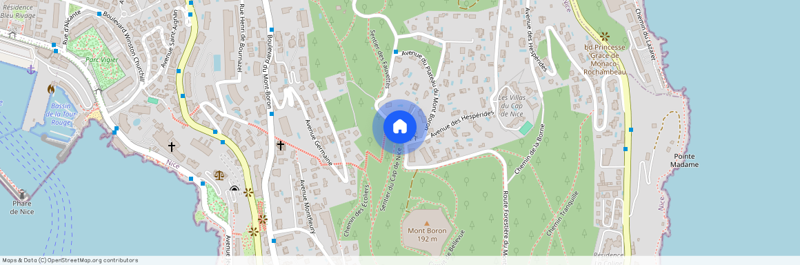 RT FORESTIERE MONT BORON, NICE MONT BORON