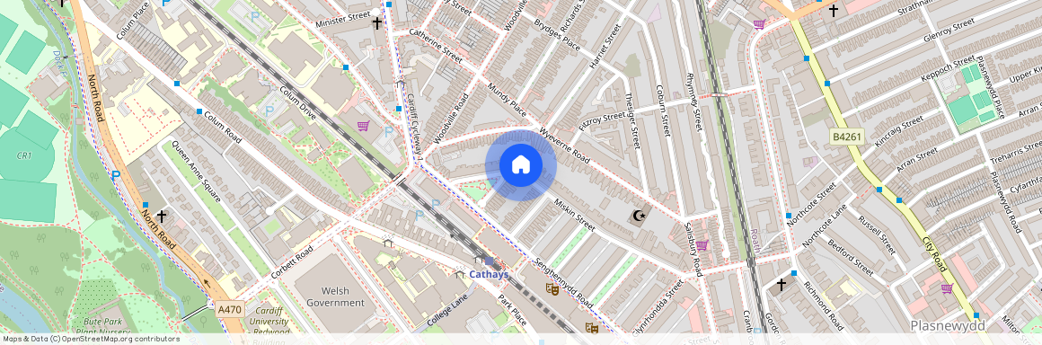 Miskin Street, CF24 4AQ, Cathays