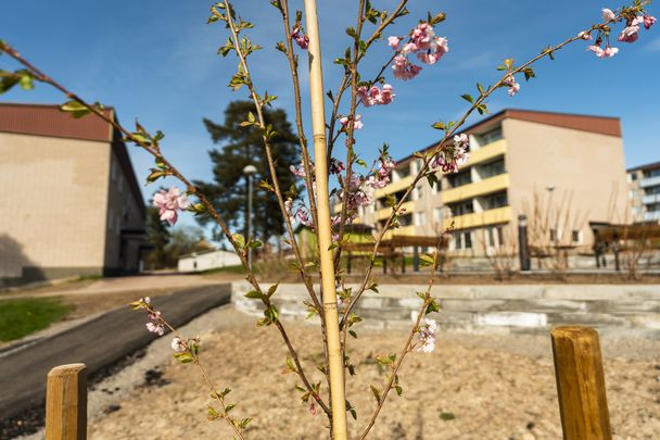 Glashyttegatan 16 D - Foto 1