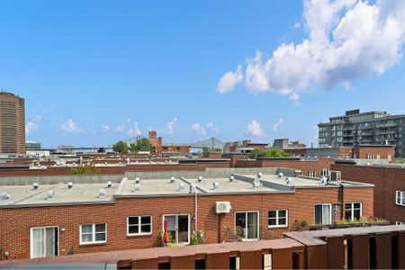 Appartement - 691 Rue St-Christophe - Photo 4