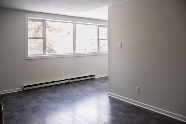 For Lease - 176 EIGHTH Street Unit# 203, Collingwood, Ontario - Photo 1