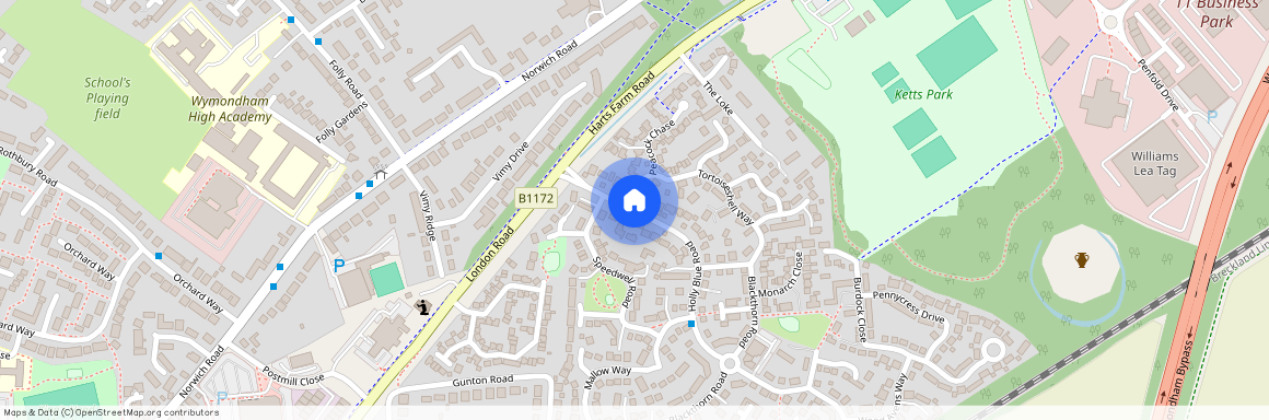 Holly Blue Road, Wymondham, NR18