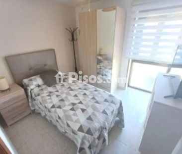Piso en alquiler en Ciudad Jardín-Zoco - Photo 5