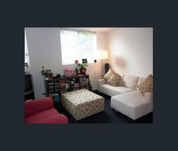 Your Own Little Oasis - Photo 1