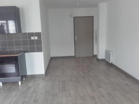 Location Appartement 2 pièces 52m² ANNONAY 07100 - Photo 1