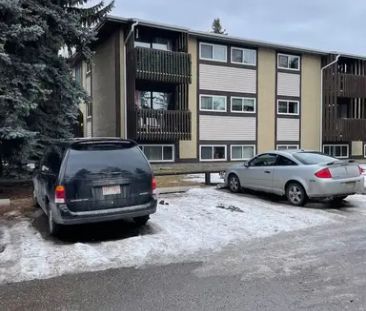 Freshly Renovated 1 Bed Room Condo | 50 - 366 94 Avenue SE, Calgary - Photo 1