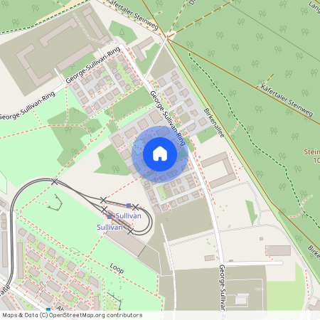George-Sullivan-Ring 48, 68309, Mannheim