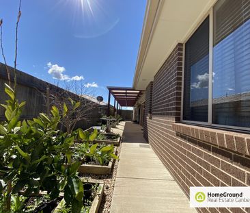 84 Lawrenson Circuit, Jacka ACT 2914 - House For Rent | Domain - Photo 6