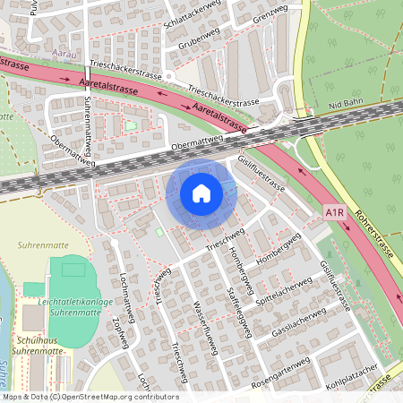 5033, Buchs AG, Trieschweg, 39