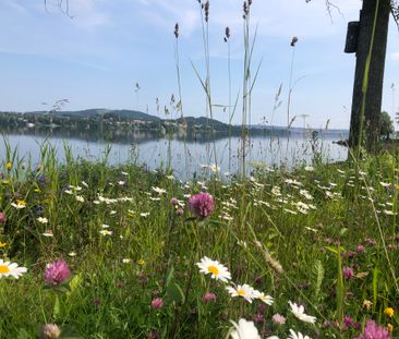 Böle, Frösön - Photo 4