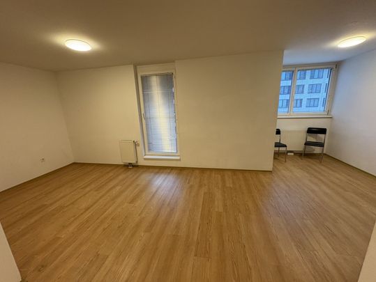 Apartments mit Küchenzeile - in 1220 Wien zu mieten - Photo 1