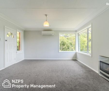 41 Montague Street, North East Valley - Photo 2