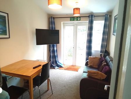 Bedsit, Claremont Road, E17 - Photo 5