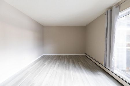 University Pointe Apartments - Photo 3