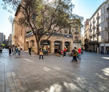 Avinguda del Portal de lÀngel, Barcelona, Catalonia 08002 - Photo 5