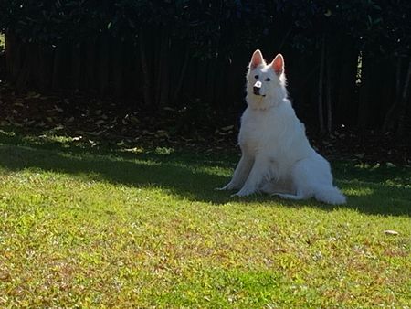 Mudgeeraba - Photo 2