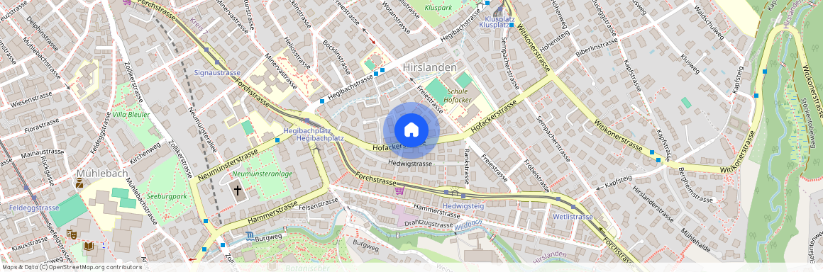 Hofackerstr. 25, 8032, Zürich