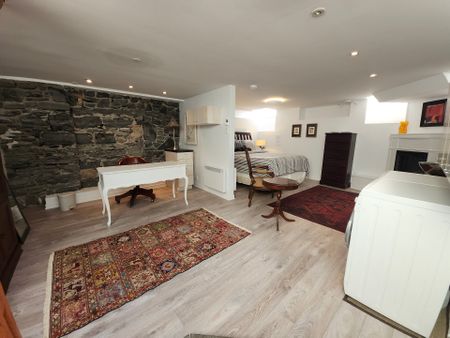 1869 Boul. René Lévesque E., Montréal (Ville-Marie), QC H2K - Photo 3