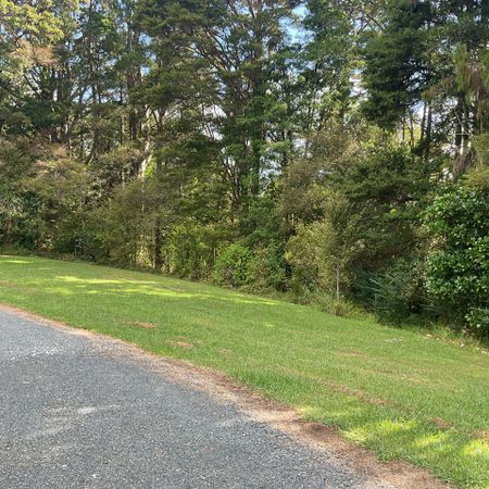 RURAL HOME WITH SEPARATE CABIN - Photo 5