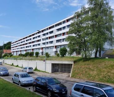 "R E N O V E - B A L C O N - E T - S U P E R - L O Y E R !!!" - Photo 6