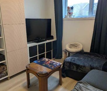 4 1/2 saint-polycarpe - Photo 2