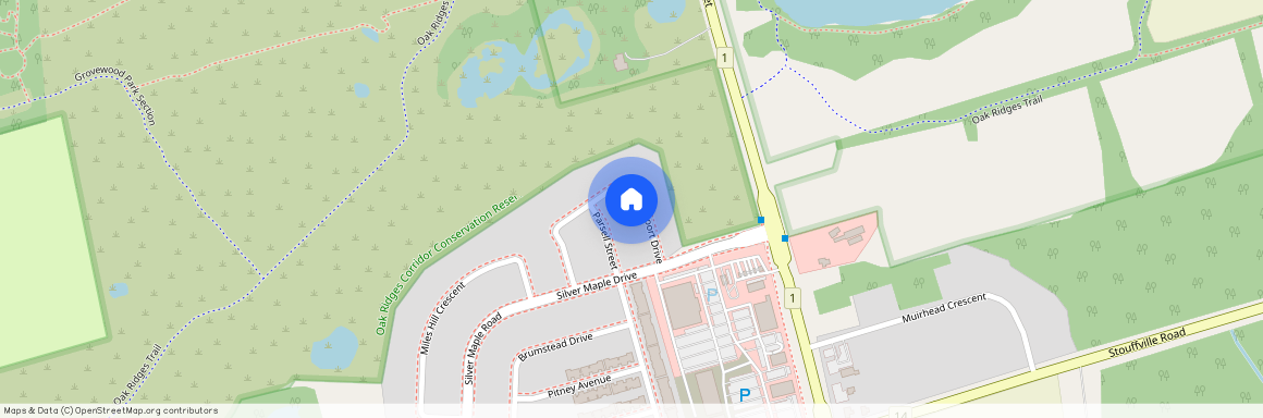 22 Vandervoort Drive Unit# Bsmt, Richmond Hill