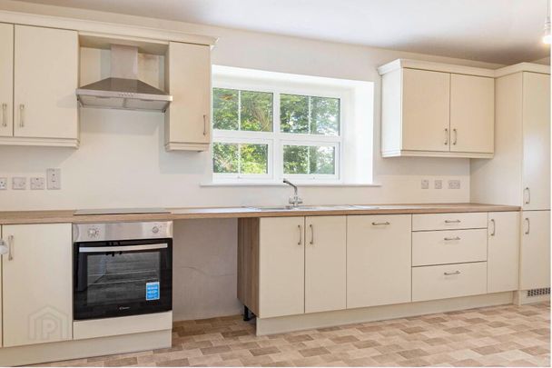 84A Lurganbuoy Road, Castlederg, BT81 7HU - Photo 1