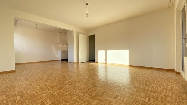 Wohnen über Muttenz; 2020 sanierte Wohnung mit herrlicher Weitsicht - Photo 1
