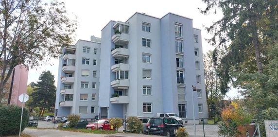 ANDRITZ - NAHE FACHMARKTZENTRUM: HELLE GEPFLEGTE FREUNDLICHE GARCONNIERE INKL. PP UM € 370,--+BK+HZG - Photo 2