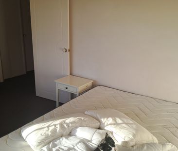 Bulimba - Photo 6