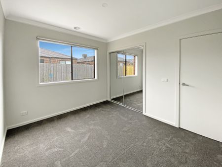 6 Rivulet Road, Bonshaw - Photo 4