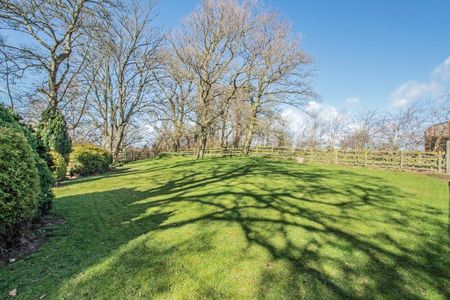 4 bedroom semi-detached house to rent - Photo 3