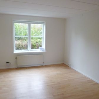 1-værelses studiebolig - Photo 1