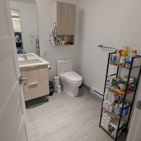 Appartement de 1 chambre et 1 salle de bain - Photo 3