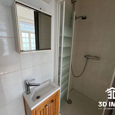 Location Appartement 1 pièce 17m² AVESNES SUR HELPE 59440 - Photo 3