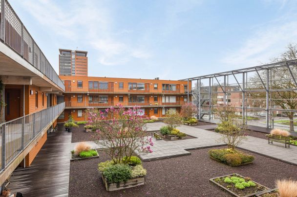 Te huur: Appartement Engelwortelstraat 68 in Arnhem - Photo 1