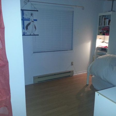 4 1/2 3eme Etage tranquille dans un beau secteur - Photo 3