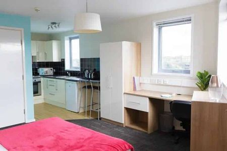 Silver Studio - Photo 5