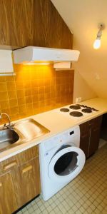 Location Appartement 1 pièce 20m² MACON 71000 - Photo 3