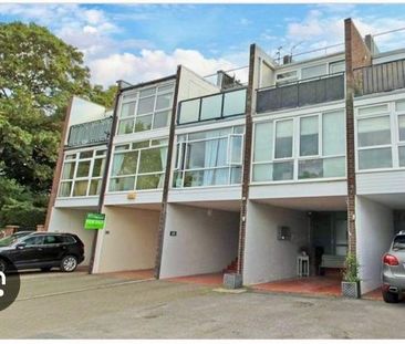 3 bedroom terraced house to rent - Photo 5