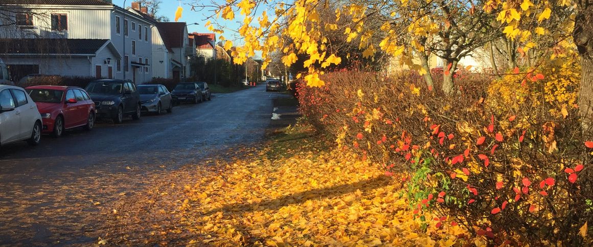 Sidsjövägen, Sundsvall - Foto 1