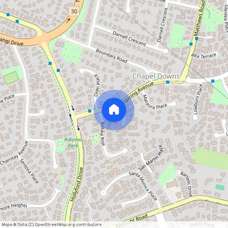 7 Aspiring Avenue, Clover Park, Manukau City