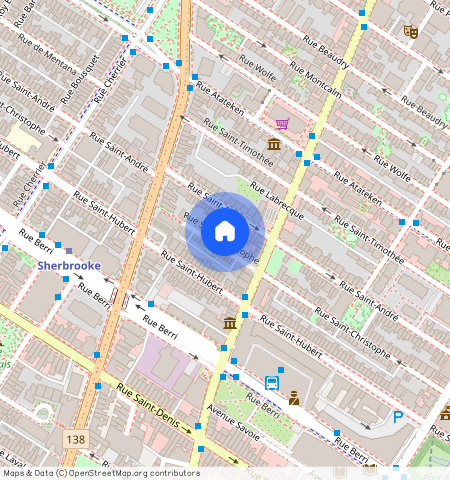 2051 Rue Saint-Christophe, Ville-Marie, Ville-Marie, Ile de Montréal, H2L 1N8