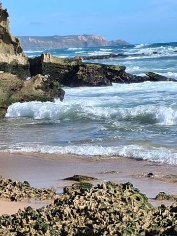 Tootgarook - Photo 5