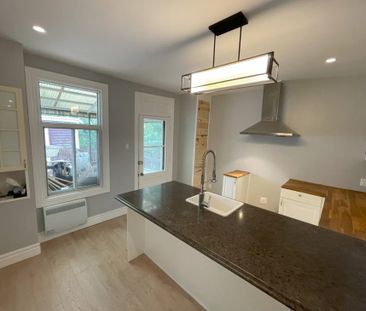 2566 Av. Hector, H1L 3X4, H1L 3X4, Montréal - Photo 4